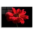 thumbnail image 1 of Epic Art 'Red Flower on Black 01' by Tom Quartermaine, Acrylic Glass Wall Art, 16"x12", 1 of 8