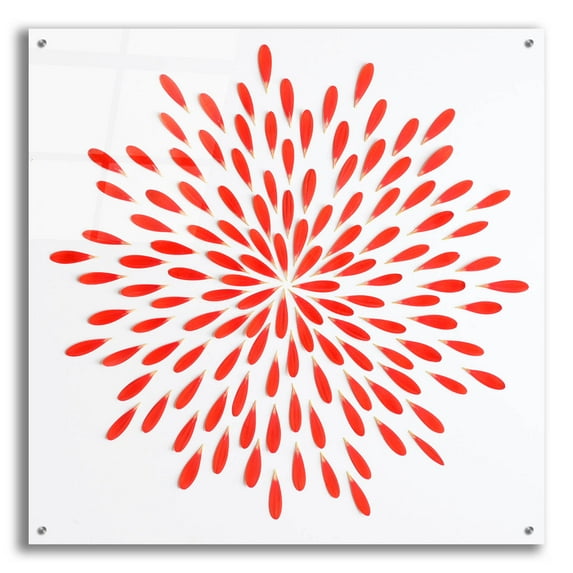 Epic Art 'Red Petals 01' by Tom Quartermaine, Acrylic Glass Wall Art, 36"x36"
