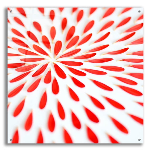 Epic Art 'Red Petals 02' by Tom Quartermaine, Acrylic Glass Wall Art, 36"x36"
