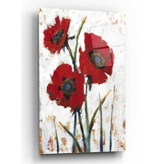 Epic Art 'Red Poppy Fresco I' by Tim O'Toole, Acrylic Glass Wall Art, 16"x24"