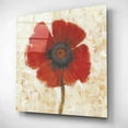 thumbnail image 1 of Epic Art 'Red Poppy Portrait I' by Tim O'Toole, Acrylic Glass Wall Art, 12"x12", 1 of 7