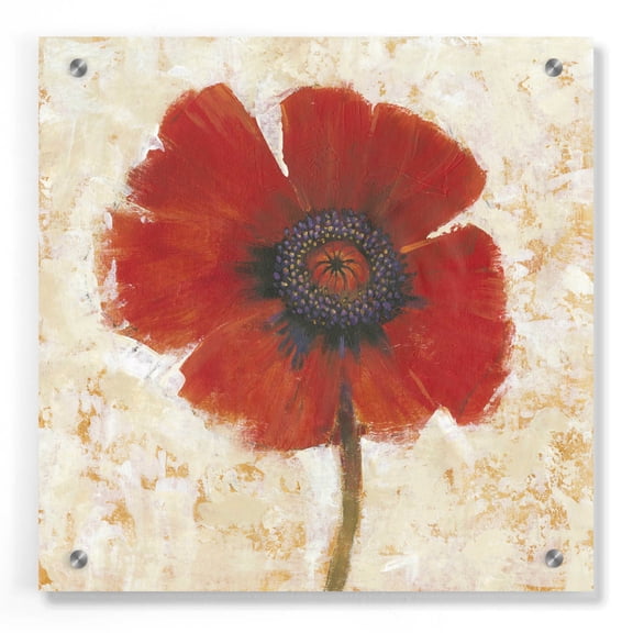 Epic Art 'Red Poppy Portrait I' by Tim O'Toole, Acrylic Glass Wall Art, 36"x36"