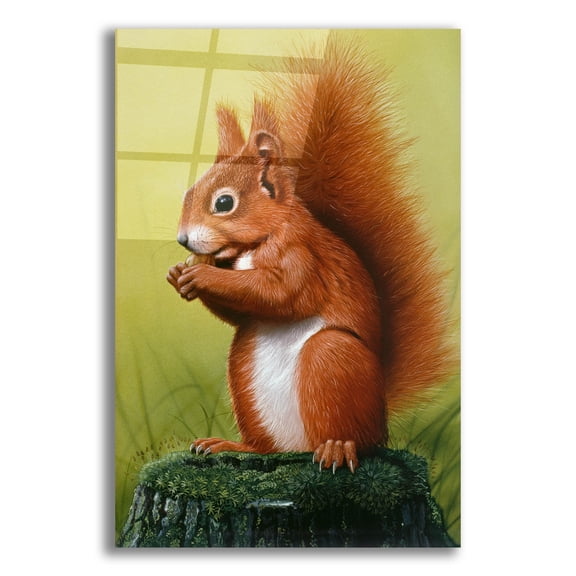 Epic Art 'Red Squirrel' by Harro Maass, Acrylic Glass Wall Art, 12"x16"