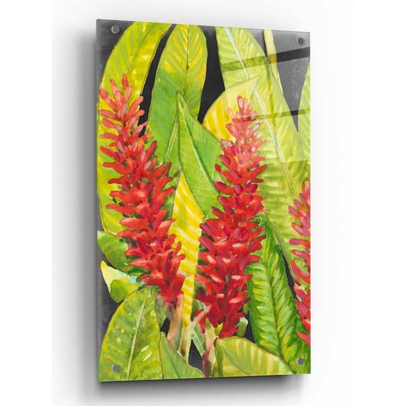 Epic Art 'Red Tropical Flowers I' by Tim O'Toole, Acrylic Glass Wall Art, 24"x36"