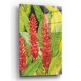 thumbnail image 1 of Epic Art 'Red Tropical Flowers II' by Tim O'Toole, Acrylic Glass Wall Art, 24"x36", 1 of 3