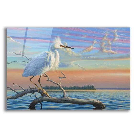 Epic Art 'Reflections - Snowy Egret' by Mark Mueller Wildlife Art, Acrylic Glass Wall Art, 16"x12"