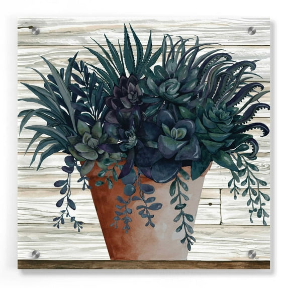 Epic Art 'Remarkable Succulents I' by Cindy Jacobs, Acrylic Glass Wall Art, 36"x36"