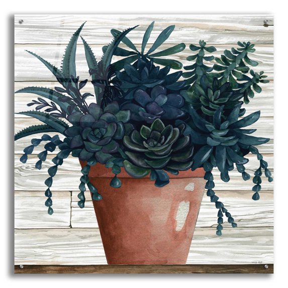 Epic Art 'Remarkable Succulents III' by Cindy Jacobs, Acrylic Glass Wall Art, 36"x36"