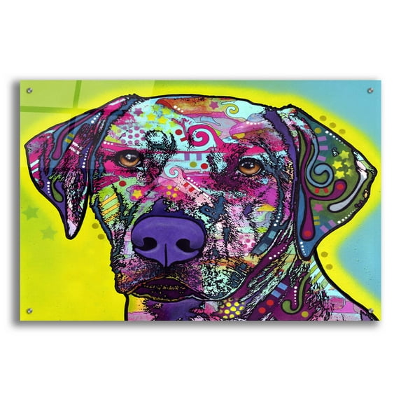 Epic Art 'Rhodesian Ridgeback' by Dean Russo, Acrylic Glass Wall Art, 36"x24"