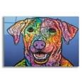 thumbnail image 1 of Epic Art 'Rocco ' by Dean Russo, Acrylic Glass Wall Art, 24"x16", 1 of 8