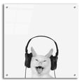 thumbnail image 1 of Epic Art 'Rockin' Kitten' by Jon Bertelli Acrylic Glass Wall Art, 24"x24", 1 of 8