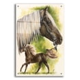 thumbnail image 1 of Epic Art 'Rocky Mountain Horse' by Barbara Keith, Acrylic Glass Wall Art, 24"x36", 1 of 8