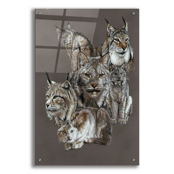 Epic Art 'Rogue' by Barbara Keith, Acrylic Glass Wall Art, 24"x36"