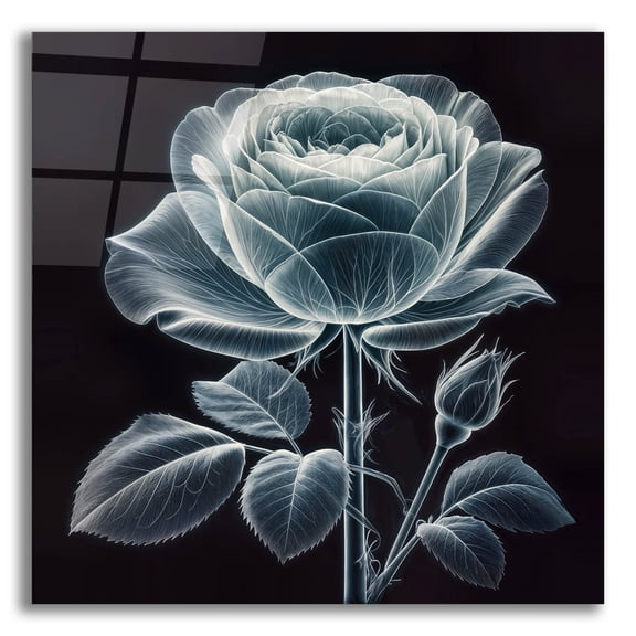 Epic Art 'Rose X Ray' by Rey Klimt Acrylic Glass Wall Art, 12" x 12"
