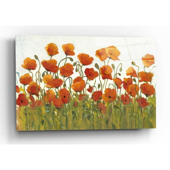 Epic Art 'Rows of Poppies I' by Tim O'Toole, Acrylic Glass Wall Art, 16"x12"