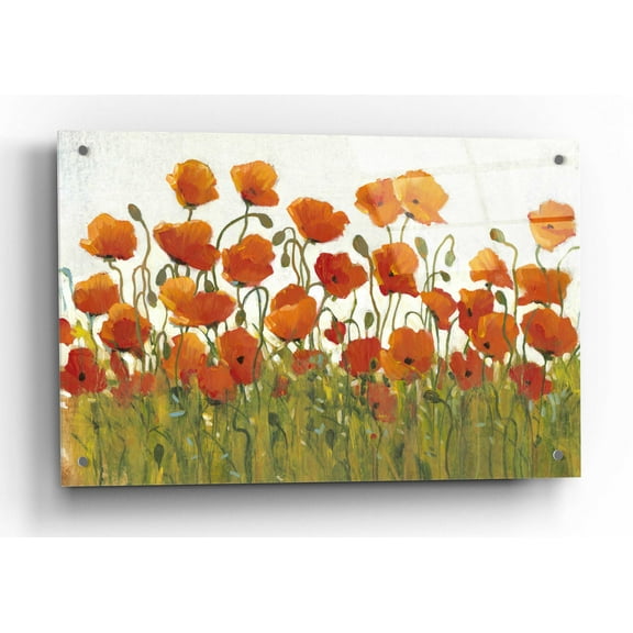 Epic Art 'Rows of Poppies I' by Tim O'Toole, Acrylic Glass Wall Art, 36"x24"
