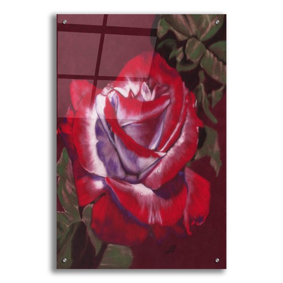 Epic Art 'Ruby' by Barbara Keith, Acrylic Glass Wall Art, 24"x36"