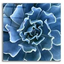 Epic Art 'Ruffled Edges' by Jan Bell Acrylic Glass Wall Art, 12"x12"