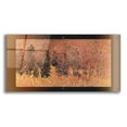 thumbnail image 1 of Epic Art 'Rust 2' by David Manlove, Acrylic Glass Wall Art, 48"x24", 1 of 8