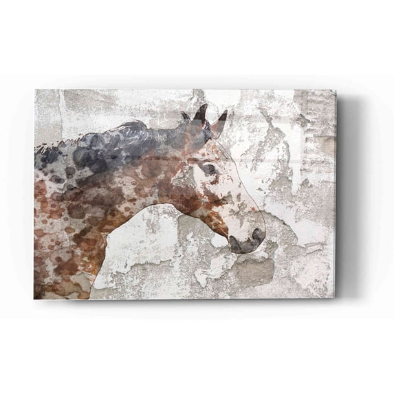 Epic Art 'Rustic Brown Horse' by Irena Orlov, Acrylic Glass Wall Art, 12"x16"
