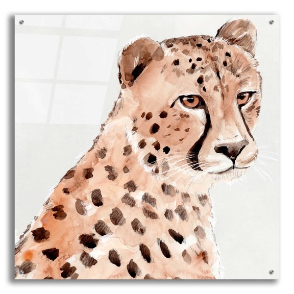 Epic Art 'Saharan Cheetah II' by Annie Warren, Acrylic Glass Wall Art, 36"x36"