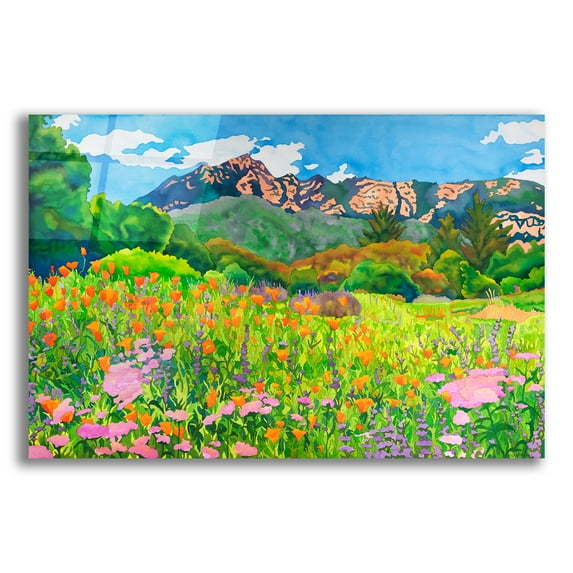 Epic Art 'Santa Barbara Botanic Garden' by Carissa Luminess, Acrylic Glass Wall Art, 24"x16"