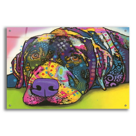 Epic Art 'Savvy Labrador' by Dean Russo, Acrylic Glass Wall Art, 36"x24"