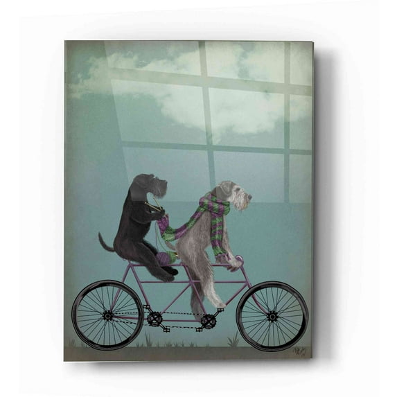 Epic Art 'Schnauzer Tandem' by Fab Funky Acrylic Glass Wall Art, 16"x24"