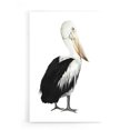 thumbnail image 1 of Epic Art 'Sea Bird IV' by Grace Popp, Acrylic Glass Wall Art, 16"x24", 1 of 3
