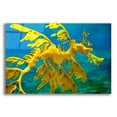 thumbnail image 1 of Epic Art 'Sea Dragon' by Mike Jones, Acrylic Glass Wall Art, 16"x12", 1 of 8