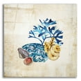 thumbnail image 1 of Epic Art 'Sea Life II' by Incado, Acrylic Glass Wall Art, 12"x12", 1 of 8