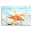 thumbnail image 1 of Epic Art 'Sea Star Dreams,' Acrylic Glass Wall Art, 16"x12", 1 of 3