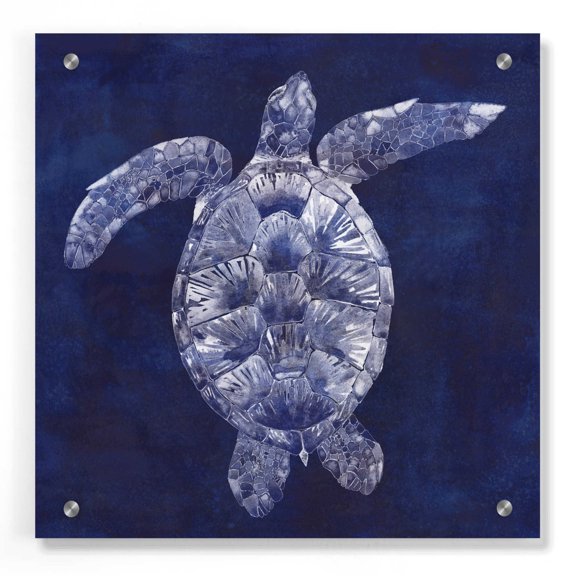 Epic Art 'Sea Turtle Shadow II' by Grace Popp, Acrylic Wall Glass, 36"x36"