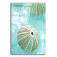 thumbnail image 1 of Epic Art 'Seaglass 4' by Alan Blaustein Acrylic Glass Wall Art, 16"x24", 1 of 8