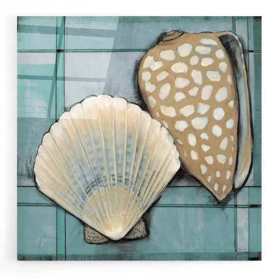 Epic Art 'Seashell Sketch I' by Tim O'Toole, Acrylic Glass Wall Art, 24"x24"