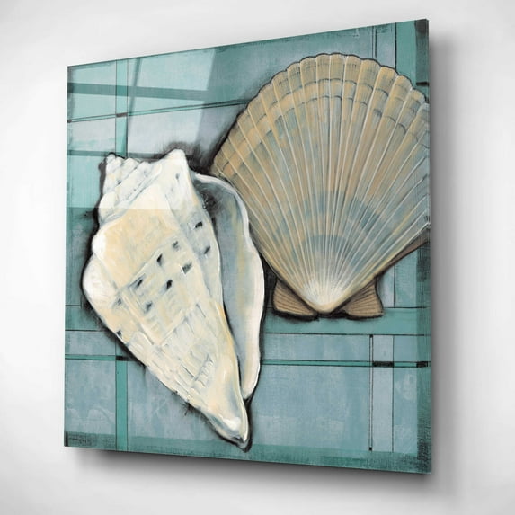 Epic Art 'Seashell Sketch II' by Tim O'Toole, Acrylic Glass Wall Art, 12"x12"