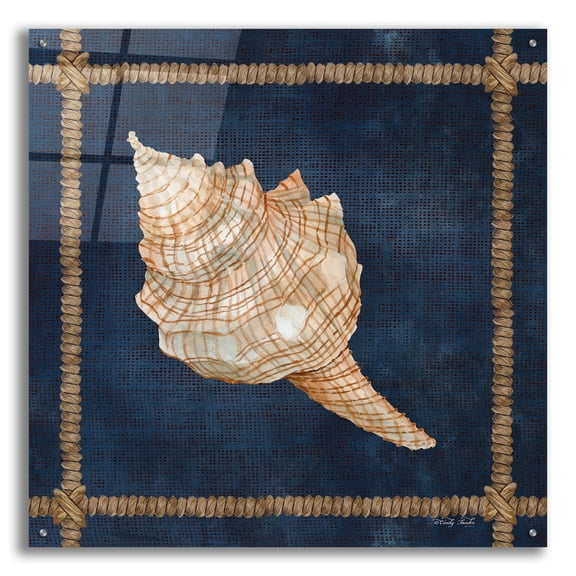 Epic Art 'Seashell on Navy IV' by Cindy Jacobs, Acrylic Glass Wall Art, 36"x36"