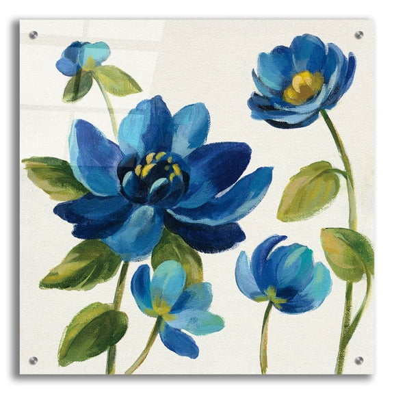 Epic Art 'Seaside Garden I' by Silvia Vassileva, Acrylic Glass Wall Art, 24"x24"