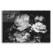 Epic Art Secret 12 by Design Fabrikken, Acrylic Glass Wall Art, 16"x12"