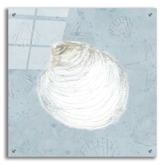 Epic Art 'Serene Shells II' by James Wiens, Acrylic Glass Wall Art, 24"x24"
