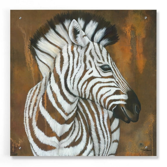 Epic Art 'Serengeti Rock Star' by Britt Hallowell, Acrylic Glass Wall Art, 24"x24"