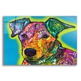 thumbnail image 1 of Epic Art 'Shamus' by Dean Russo, Acrylic Glass Wall Art, 36"x24", 1 of 8