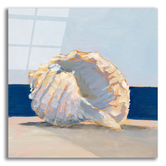 Epic Art 'Shell By The Shore 2' by Ethan Harper Acrylic Glass Wall Art, 12" x 12"