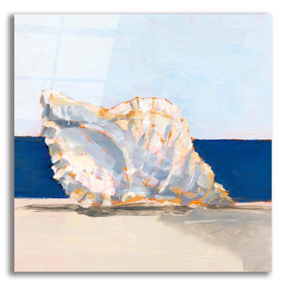 Epic Art 'Shell By The Shore 3' by Ethan Harper Acrylic Glass Wall Art, 12" x 12"