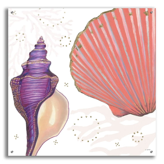 Epic Art 'Shimmering Shells 1' by James Wiens Acrylic Glass Wall Art, 36" x 36"