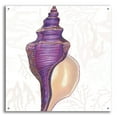 thumbnail image 1 of Epic Art 'Shimmering Shells 9'  by James Wiens Acrylic Glass Wall Art, 36" x 36", 1 of 8