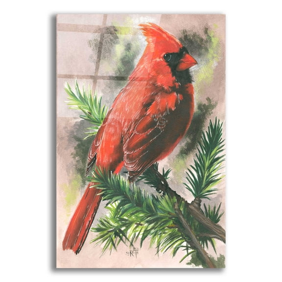 Epic Art 'Show-Off' by Barbara Keith, Acrylic Glass Wall Art, 12"x16"