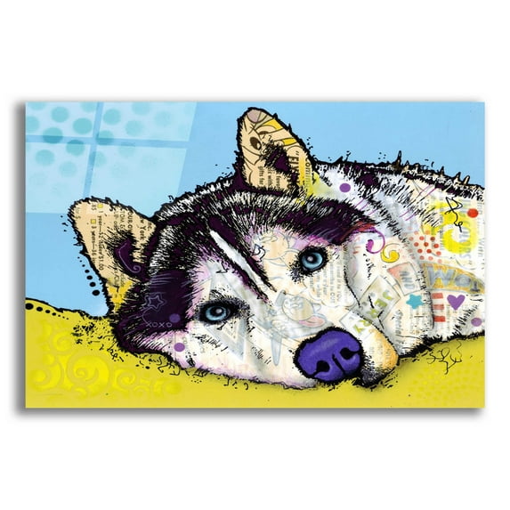Epic Art 'Siberian Husky 2' by Dean Russo, Acrylic Glass Wall Art, 16"x12"