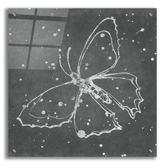 Epic Art 'Silver Wings 2' by Shirley Novak Acrylic Glass Wall Art, 24" x 24"