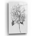 thumbnail image 1 of Epic Art 'Silvertone Floral I' by Tim O'Toole, Acrylic Glass Wall Art, 12"x16", 1 of 2